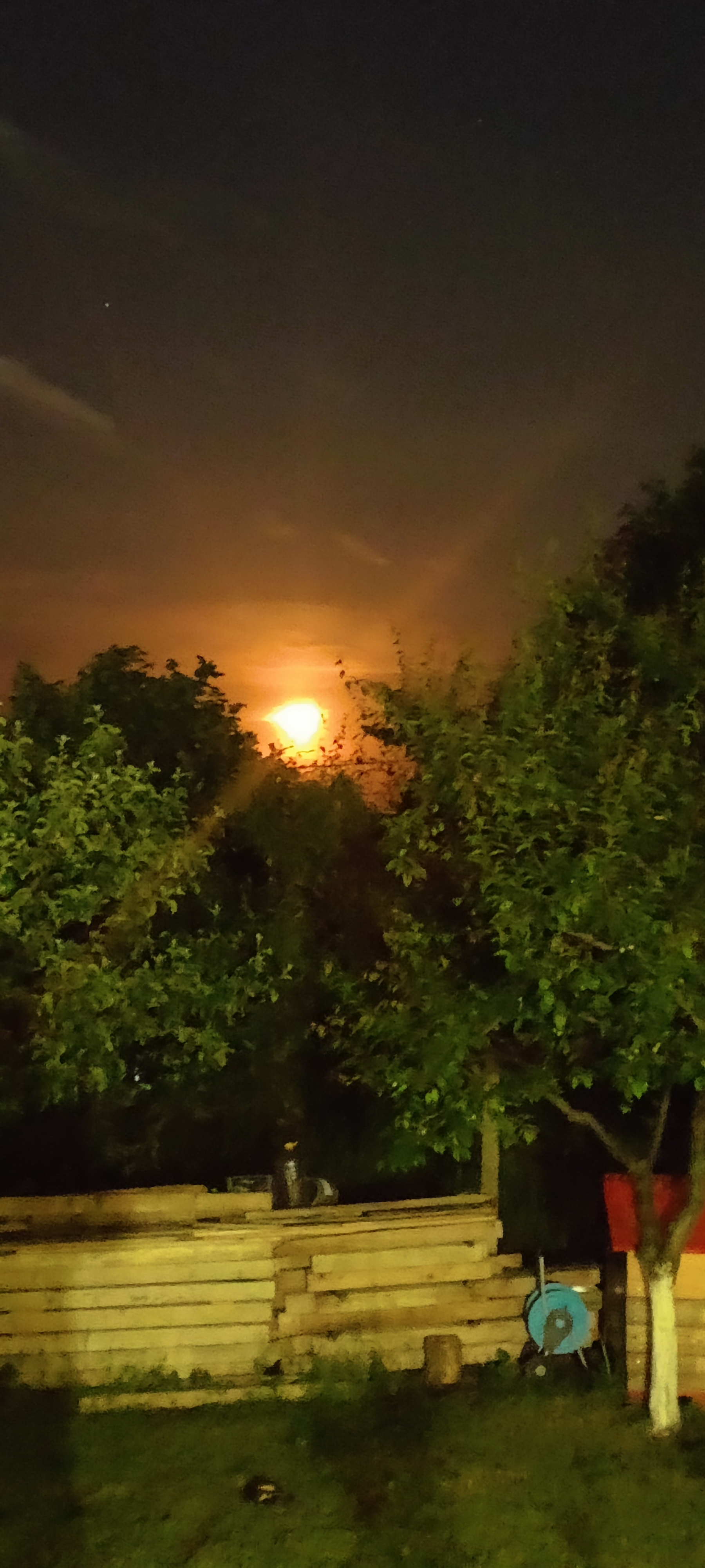 Запрян Вълков