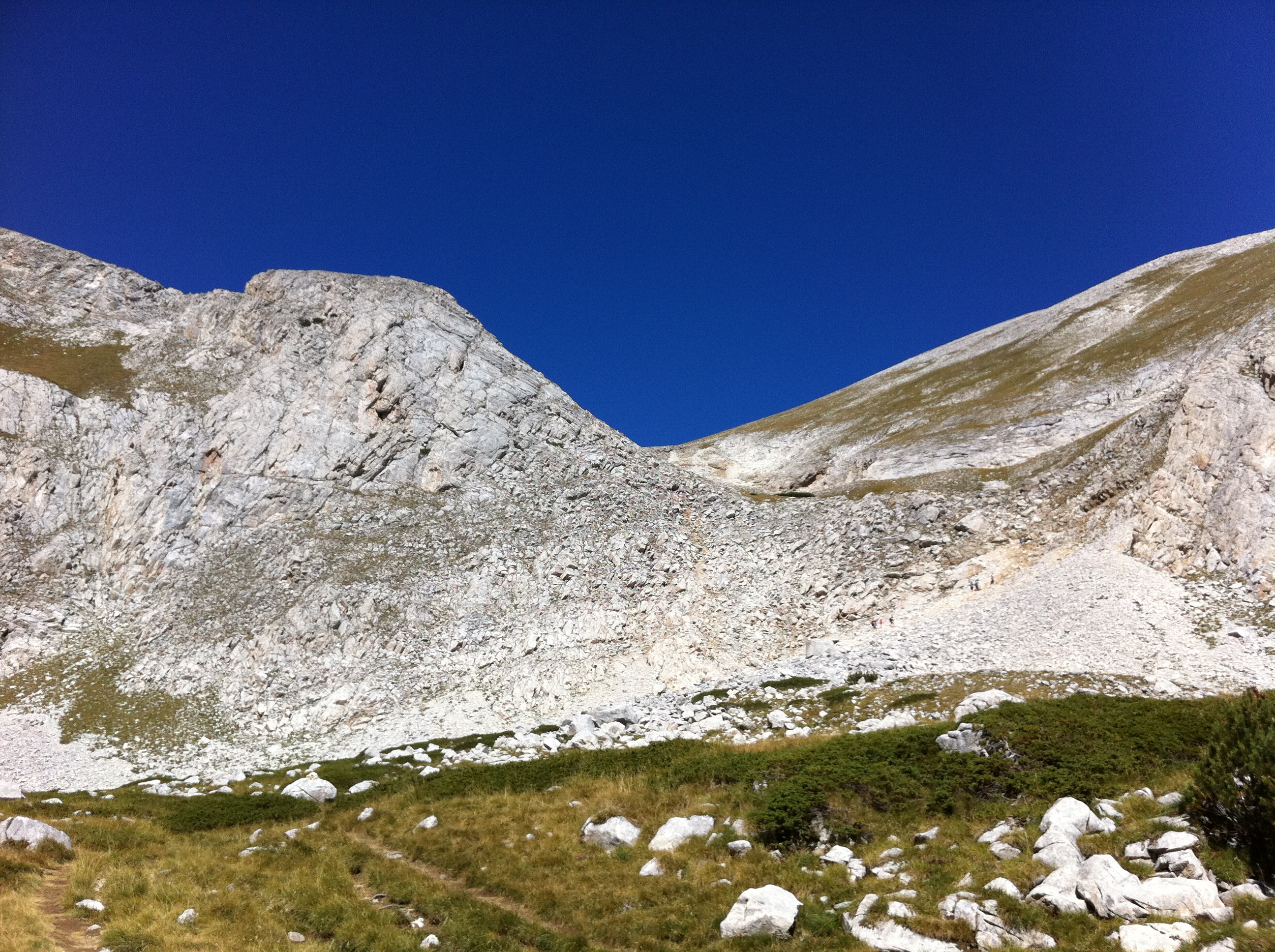 Деян Дунавски